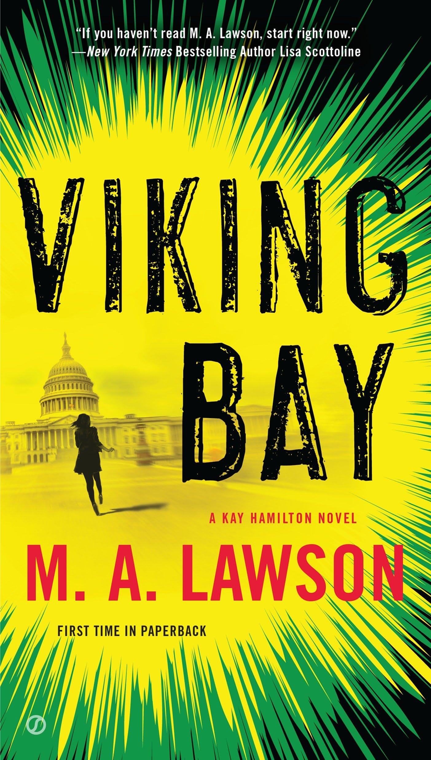 Viking Bay: A Kay Hamilton Novel: 2 - Retail Maharaj