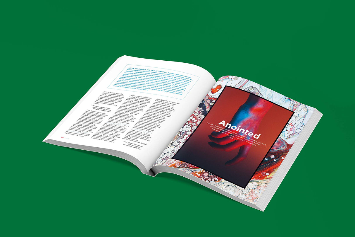 The New Testament Experience: The Gospels for the Modern World - Retail Maharaj