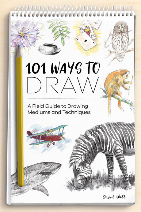 101 Ways to Draw - Retail Maharaj