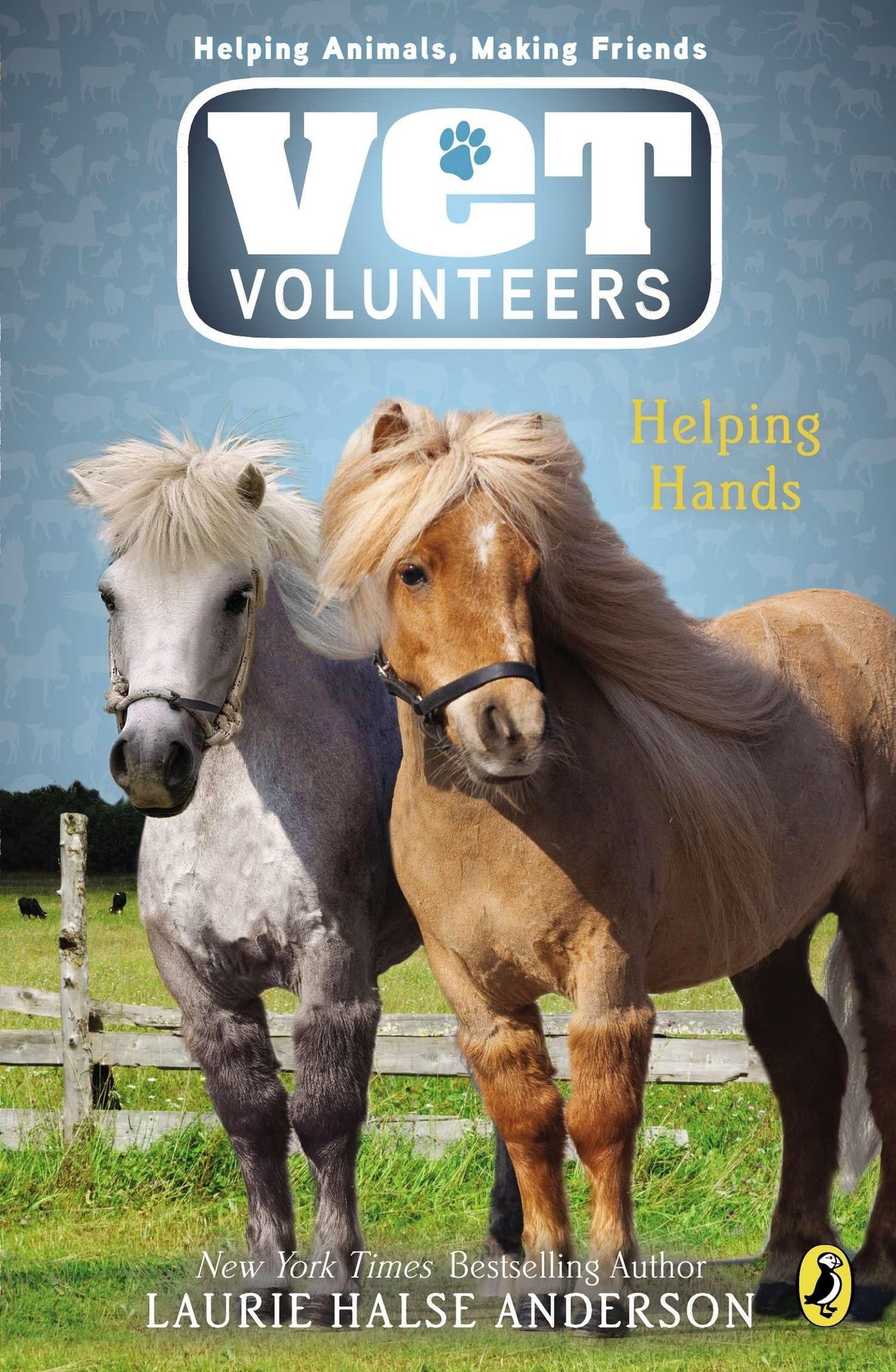 Helping Hands: 15 (Vet Volunteers) - Retail Maharaj