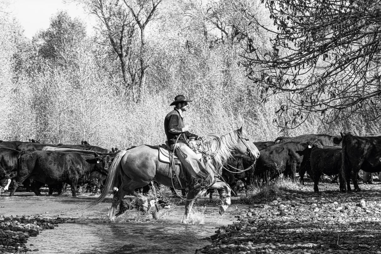 A Ranch Year: Cowboys of the West - Retail Maharaj