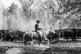 A Ranch Year: Cowboys of the West - Retail Maharaj