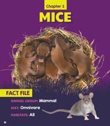 Learn About: Animal Homes: Nests - Retail Maharaj