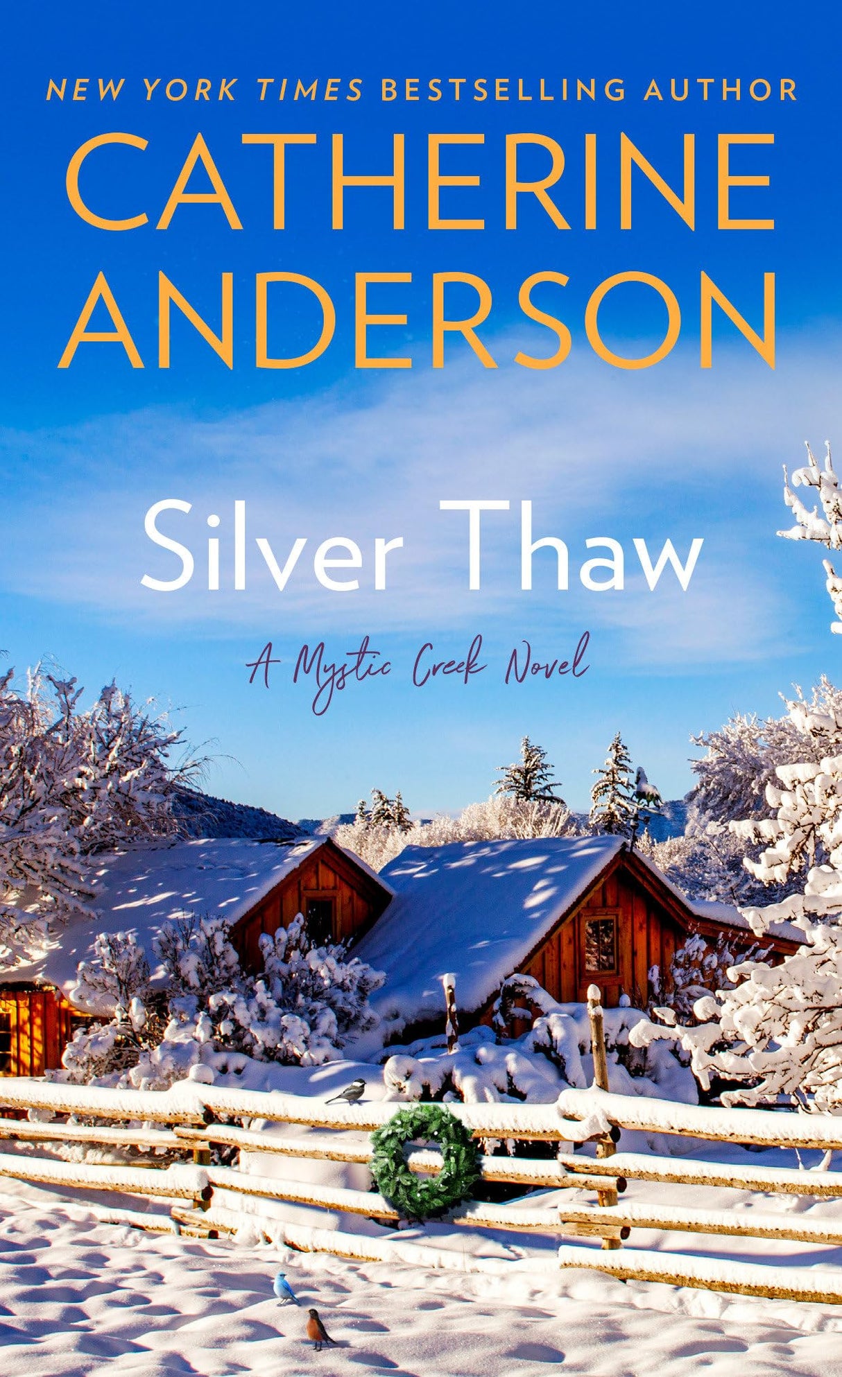 Silver Thaw - Retail Maharaj