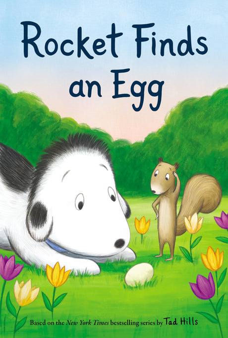 Rocket Finds an Egg - Retail Maharaj