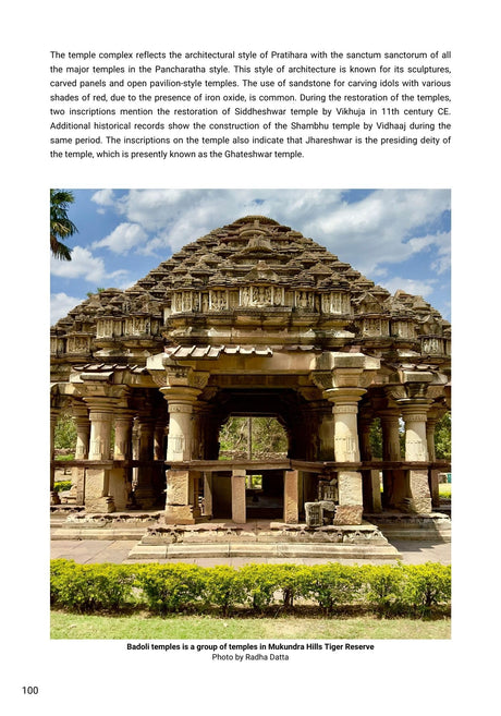 Hidden Treasures : India's Heritage in Tiger Reserves Vol. 1 - Retail Maharaj