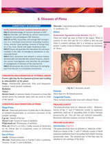Illustrated Textbook of ENT and Head & Neck Surgery (1st Edition 2025) - Retail Maharaj