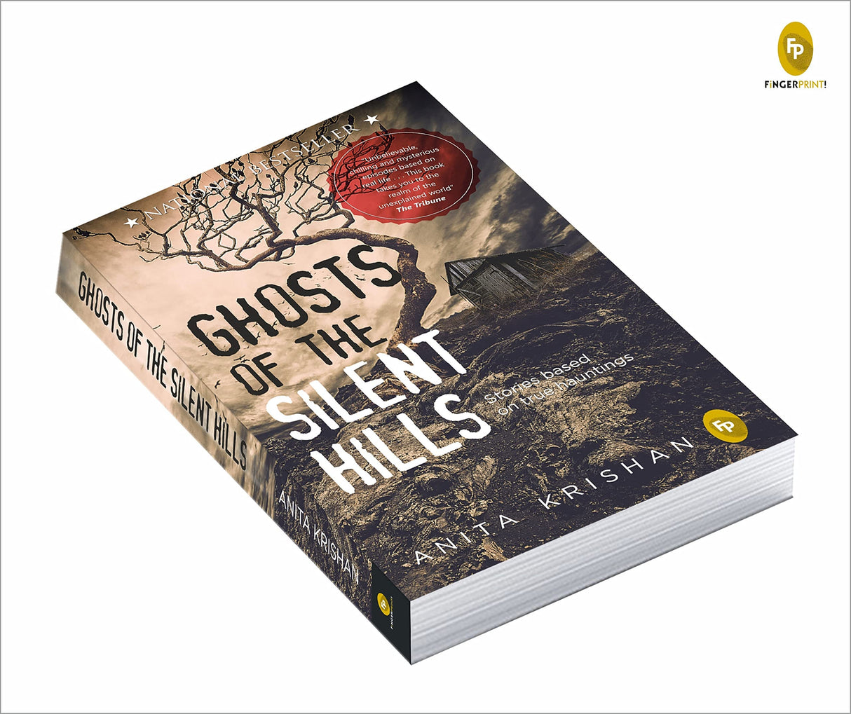 Ghosts of The Silent Hills: Stories based on true hauntings - Retail Maharaj