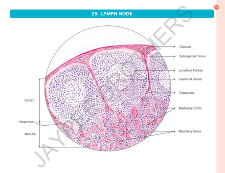 HISTOLOGY PRACTICAL MANUAL - Retail Maharaj