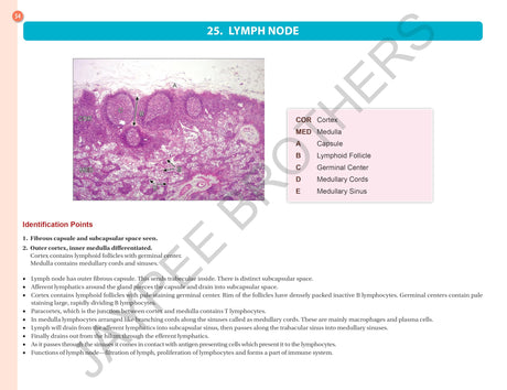 HISTOLOGY PRACTICAL MANUAL - Retail Maharaj