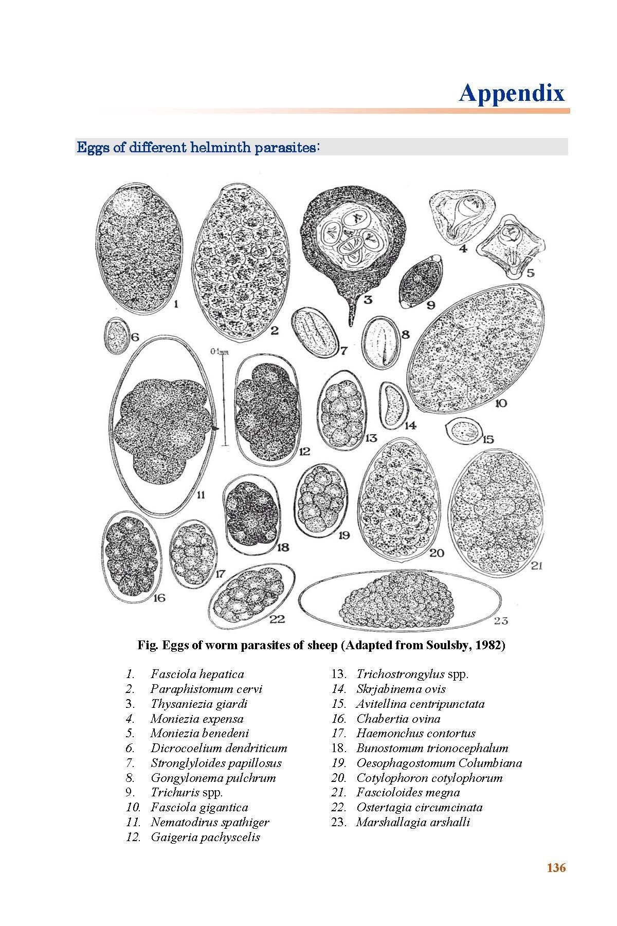 HANDBOOK OF VETERINARY PARASITOLOGY (Reprint, 2018) - Retail Maharaj