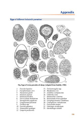 HANDBOOK OF VETERINARY PARASITOLOGY (Reprint, 2018) - Retail Maharaj