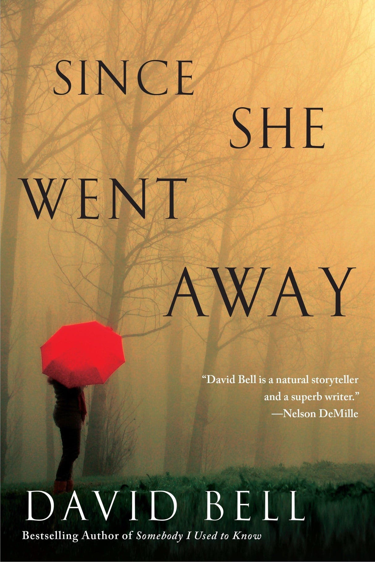 Since She Went Away: A Psychic Eye Mystery - Retail Maharaj