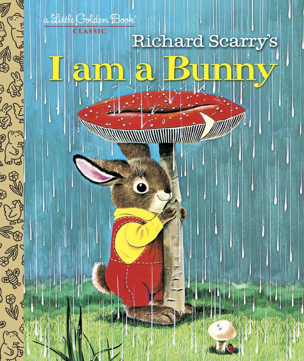 I Am A Bunny - Retail Maharaj