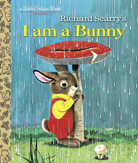 I Am A Bunny - Retail Maharaj