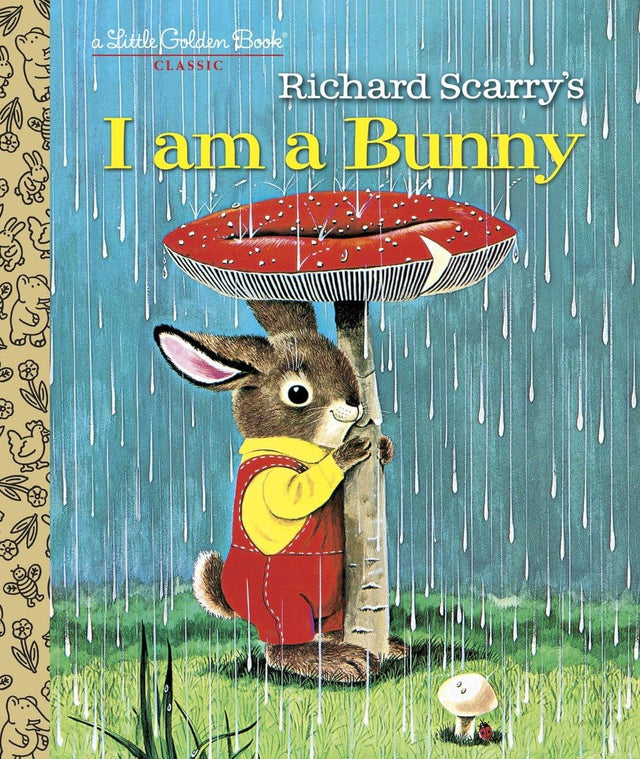 I Am A Bunny - Retail Maharaj