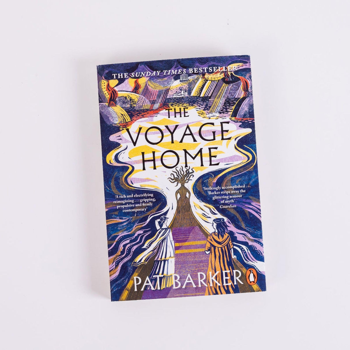 The Voyage Home: The instant Sunday Times bestseller. A new Greek myth retelling from the author of The Women of Troy - Retail Maharaj