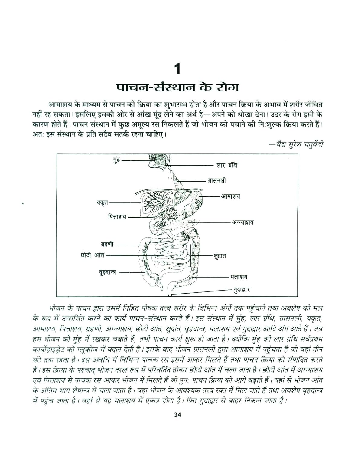 Swasthya Vigyaan : Gharelu Chikitsa Kosh (Hindi Edition) - Retail Maharaj