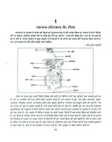 Swasthya Vigyaan : Gharelu Chikitsa Kosh (Hindi Edition) - Retail Maharaj