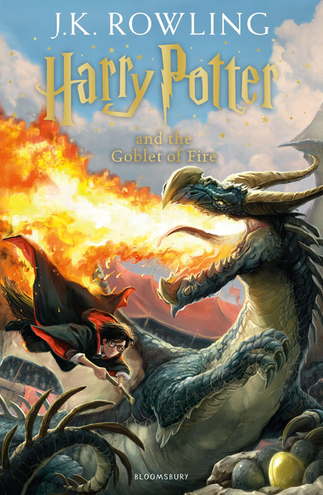 Harry Potter and the Goblet of Fire - Retail Maharaj