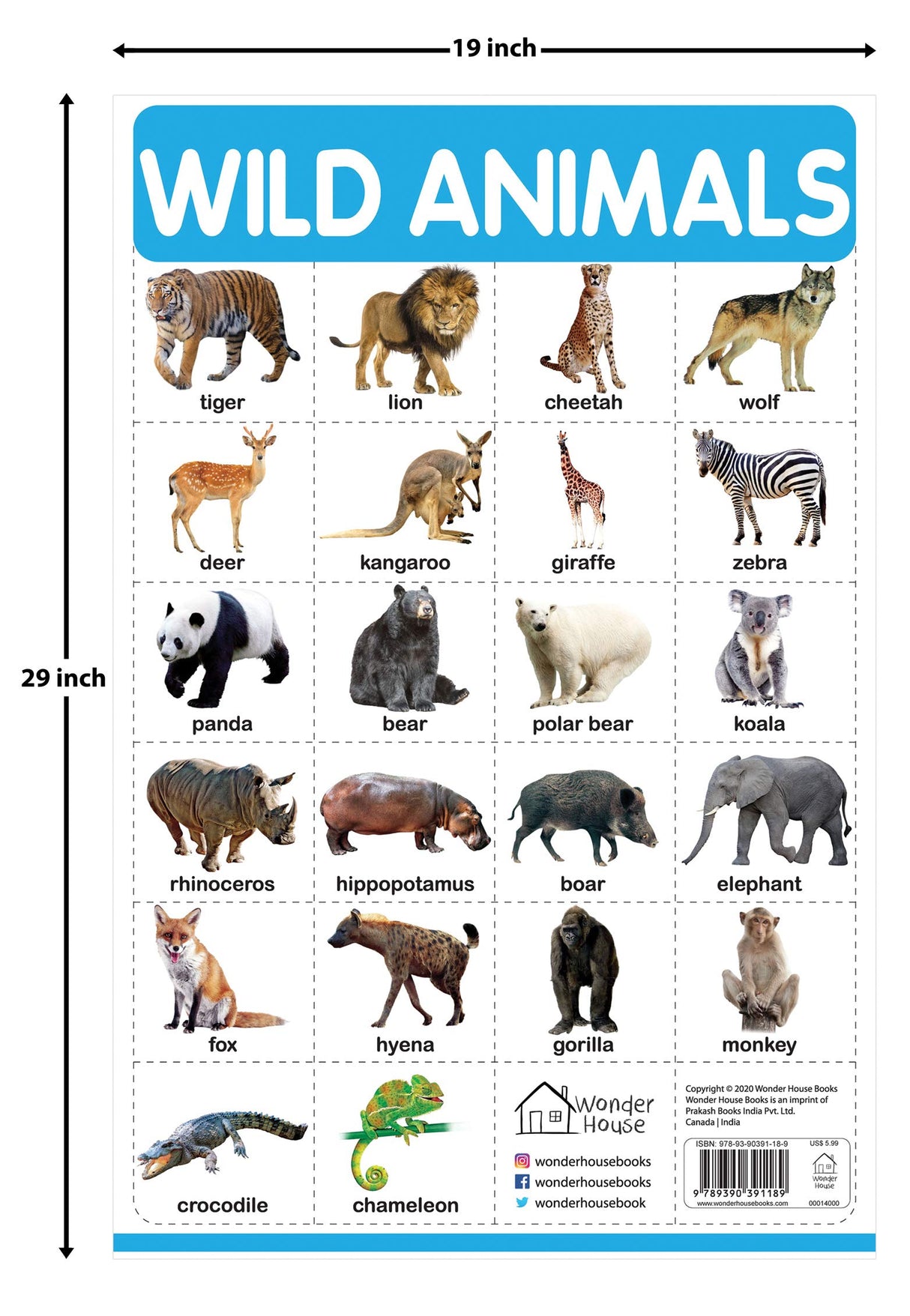 Wild Animals - My First Early Learning Wall Chart: For Preschool, Kindergarten, Nursery And Homeschooling (19 Inches X 29 Inches) - Retail Maharaj