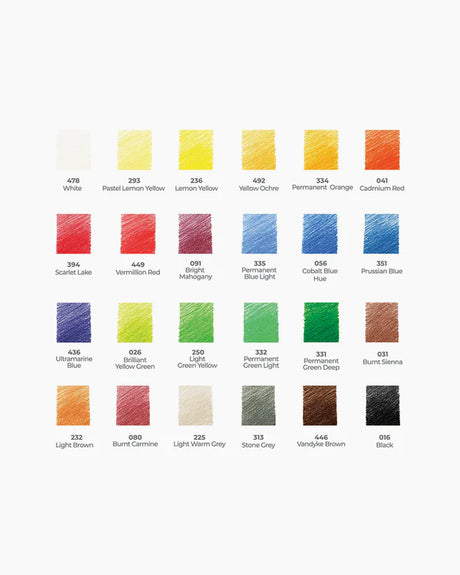 Camlin Artist Grade Colour Pencils Set 24 Shades for Drawing and Sketching - Retail Maharaj