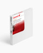 Camel Small Stretched Canvases Pack of 6 - Retail Maharaj