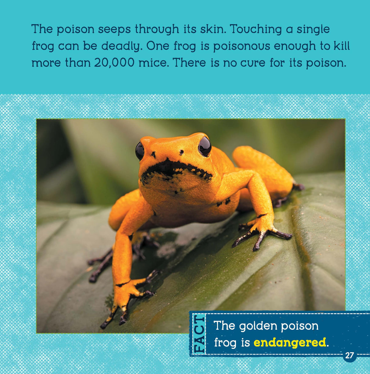 Poisonous Animals (Wild World: Top 10) - Retail Maharaj