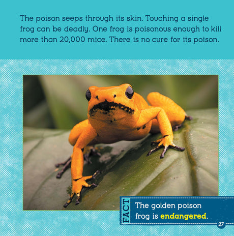 Poisonous Animals (Wild World: Top 10) - Retail Maharaj