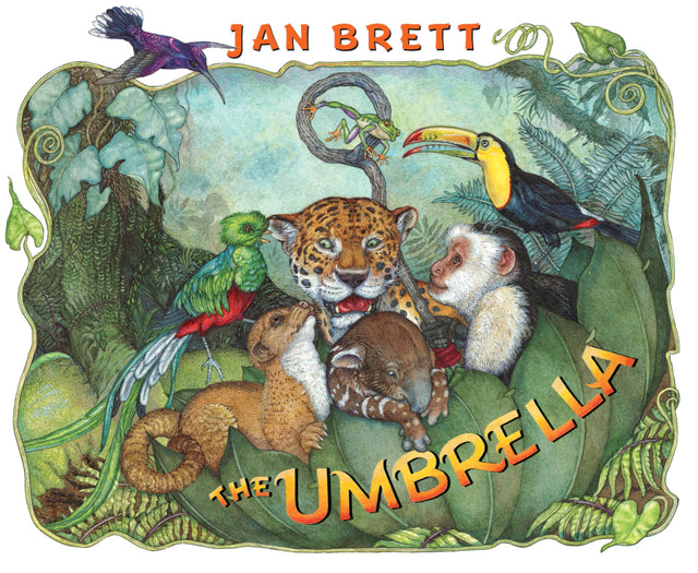 The Umbrella - Retail Maharaj