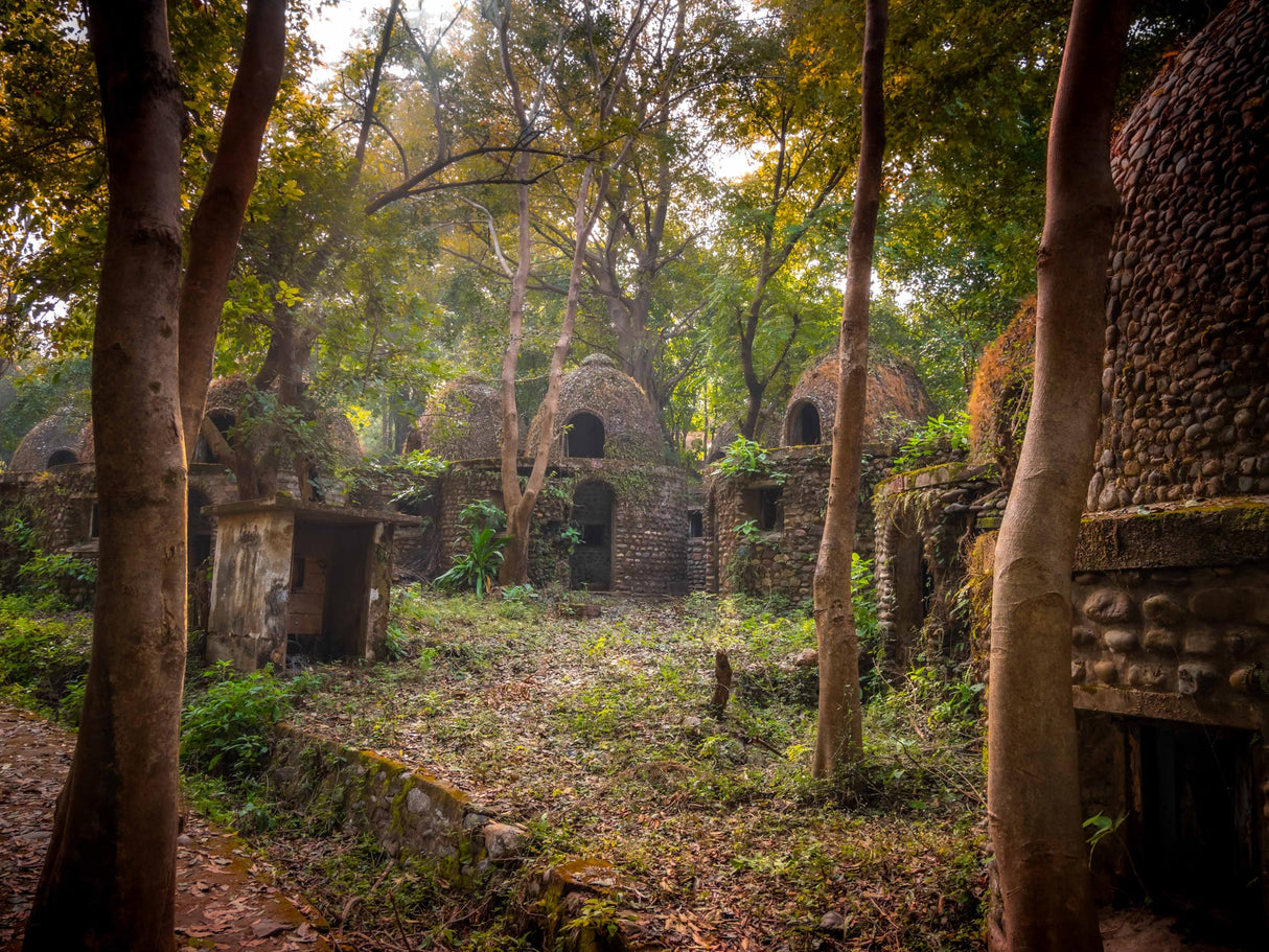 Hidden Treasures : India's Heritage in Tiger Reserves Vol. 1 - Retail Maharaj