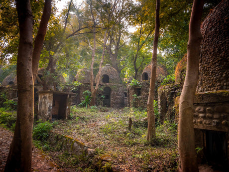 Hidden Treasures : India's Heritage in Tiger Reserves Vol. 1 - Retail Maharaj