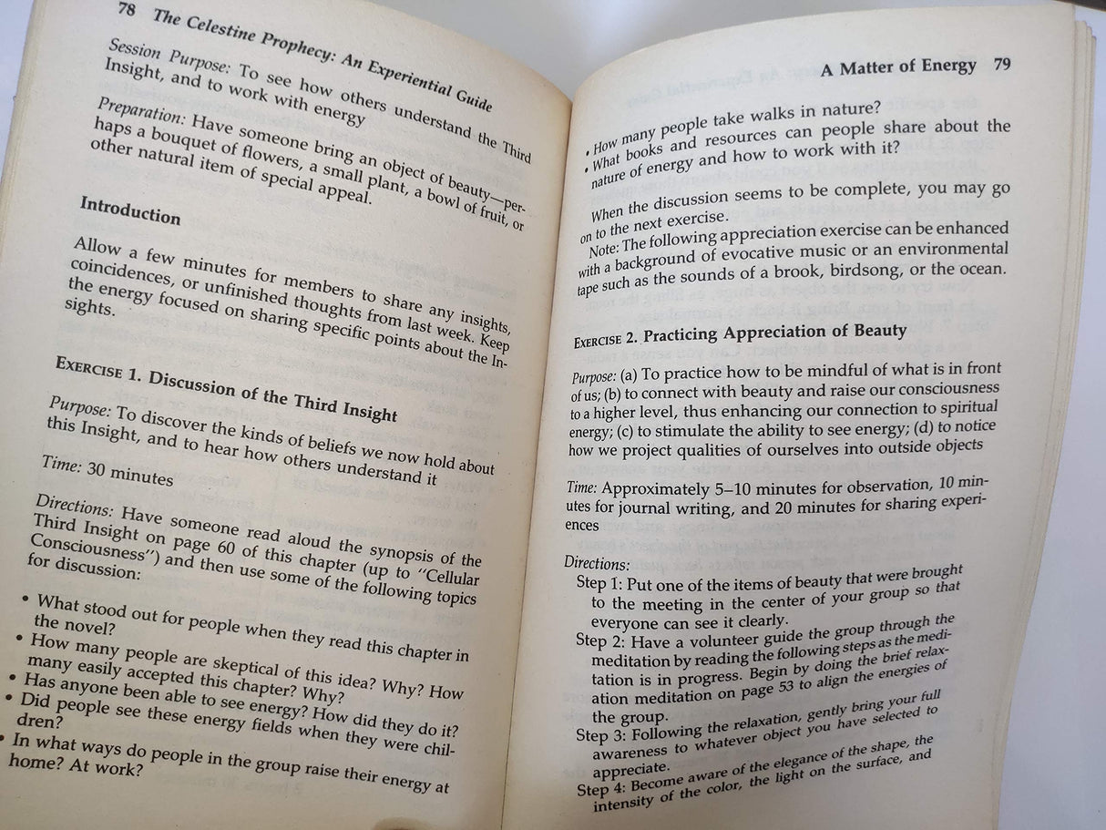 The Celestine Prophecy: An Experiential Guide - Retail Maharaj