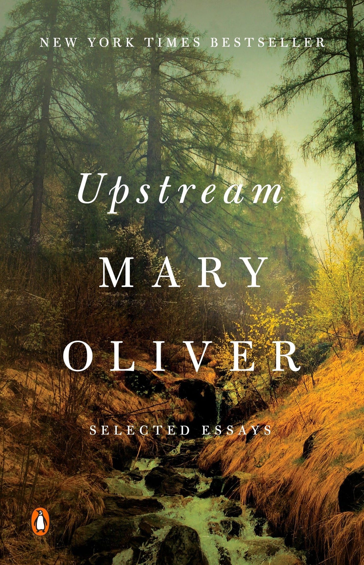 Upstream: Selected Essays - Retail Maharaj