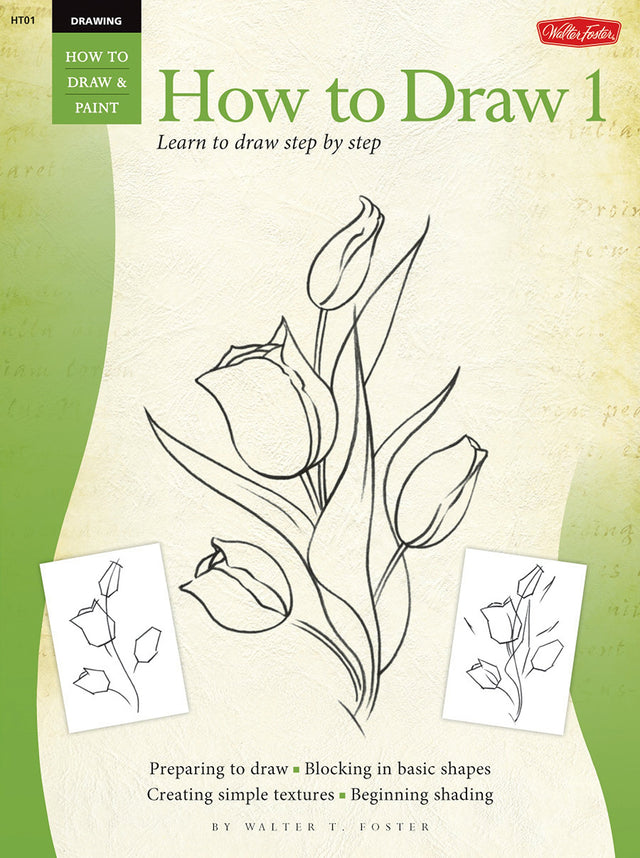 Drawing How to Draw 1: Learn to Paint Step by Step (How to Draw and Paint/Art Instruction Program) - Retail Maharaj