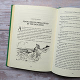 Pinocchio (Bath Treasury of Children's Classics) - Retail Maharaj