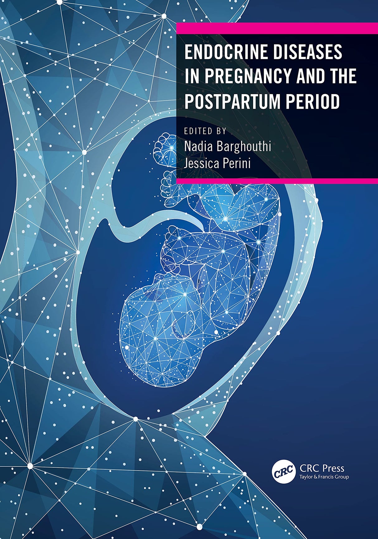 ENDOCRINE DISEASES IN PREGNANCY AND THE POSTPARTUM PERIOD (PB 2022) - Retail Maharaj