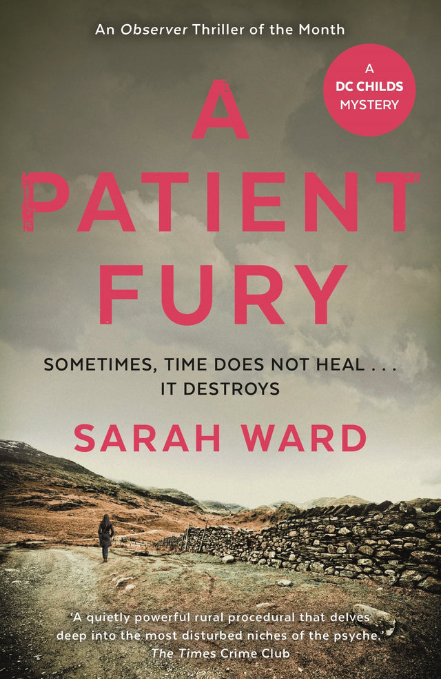 A Patient Fury (DC Childs mystery) - Retail Maharaj