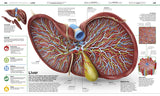 Knowledge Encyclopedia: Human Body!: Your Amazing Body As You've Never Seen It Before - Retail Maharaj