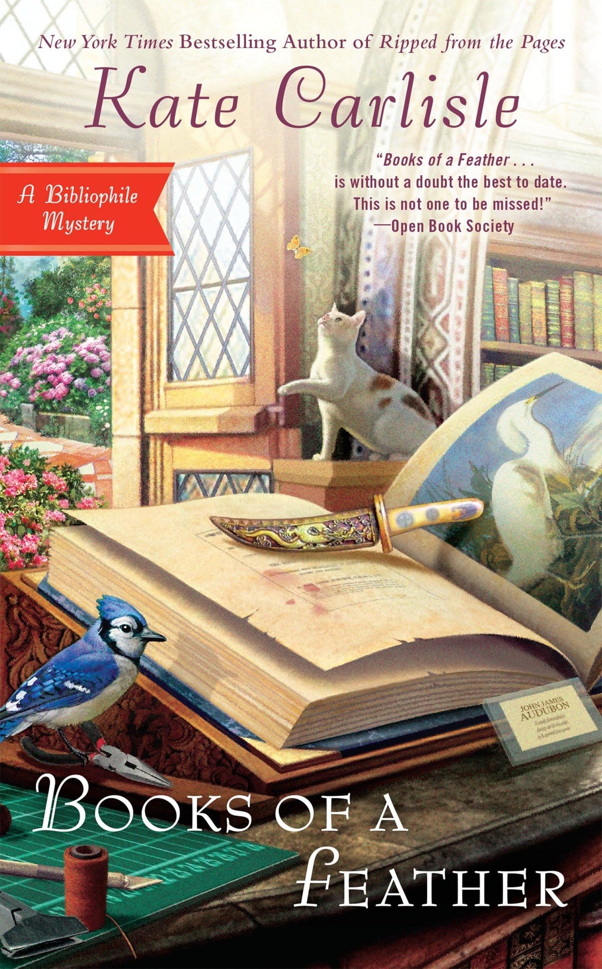 Books of a Feather: A Bibliophile Mystery: 10 - Retail Maharaj