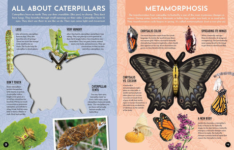 Inside Out Butterfly: Discover Nature'S Most Amazing Transfo - Retail Maharaj