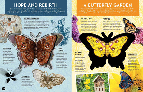 Inside Out Butterfly: Discover Nature'S Most Amazing Transfo - Retail Maharaj