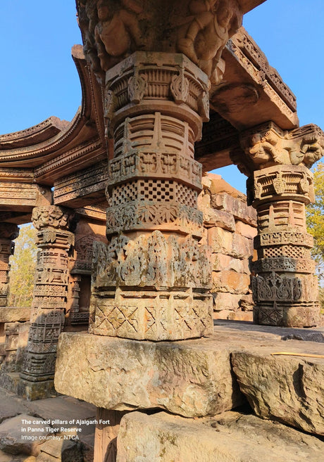 Hidden Treasures : India's Heritage in Tiger Reserves Vol. 1 - Retail Maharaj
