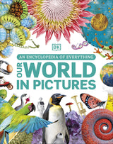 Our World in Pictures: An Encyclopedia of Everything - Retail Maharaj
