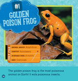 Poisonous Animals (Wild World: Top 10) - Retail Maharaj