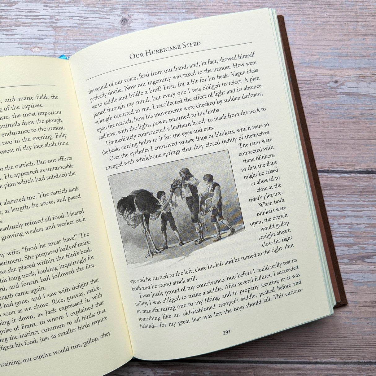 The Swiss Family Robinson (Bath Treasury of Children's Classics) - Retail Maharaj