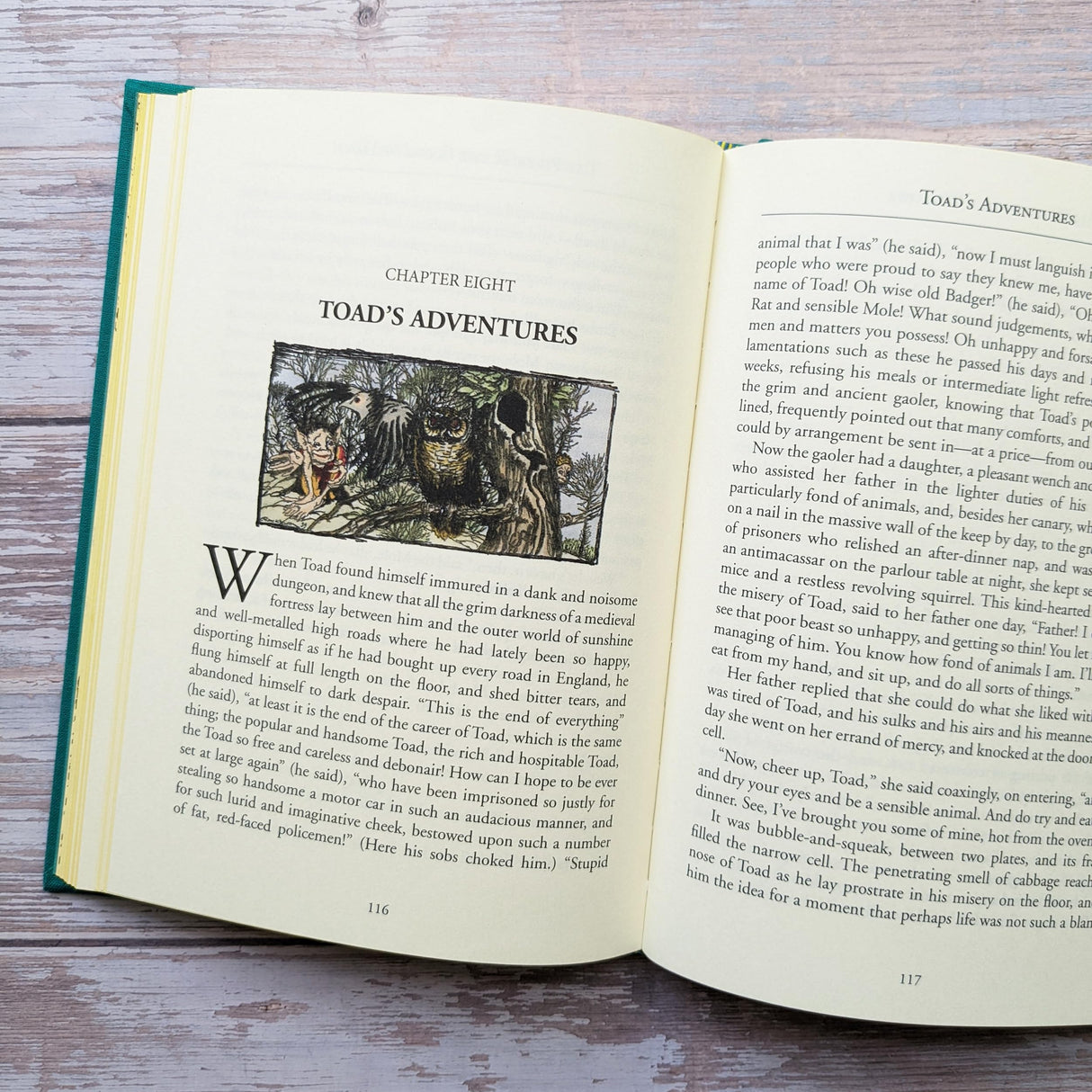 The Wind in the Willows (Bath Treasury of Children's Classics) - Retail Maharaj