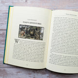 The Wind in the Willows (Bath Treasury of Children's Classics) - Retail Maharaj