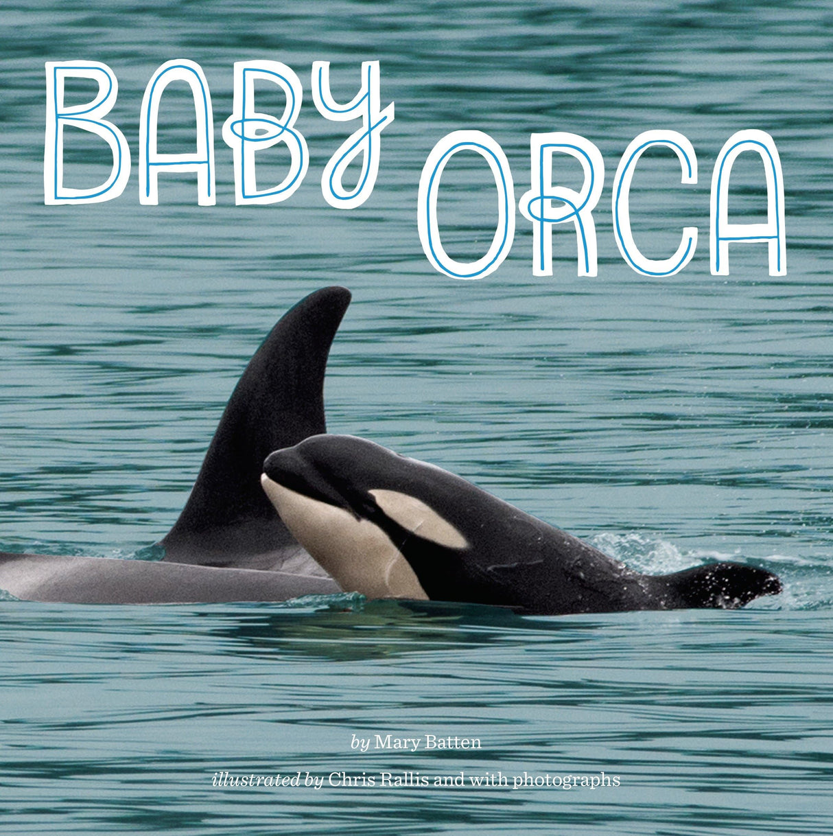 Baby Orca - Retail Maharaj