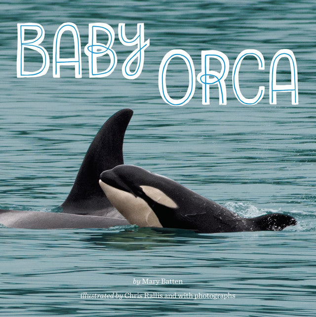 Baby Orca - Retail Maharaj